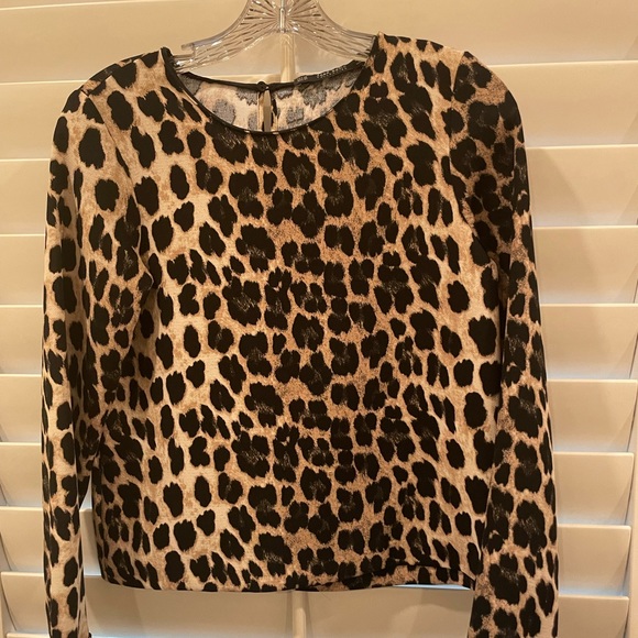 Zara leopard print blouse - Picture 1 of 5